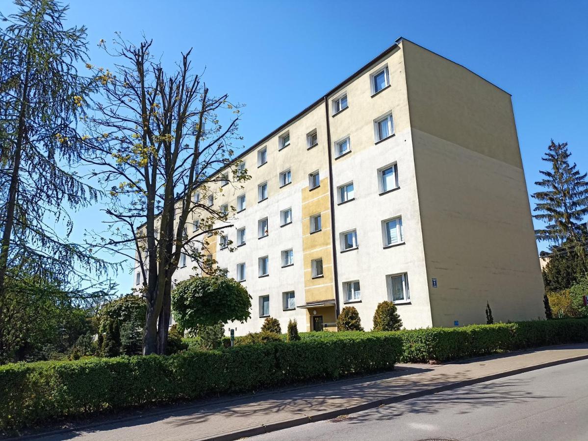 Kaja Apartament 52M2 プルシュチ・グダンスキ エクステリア 写真